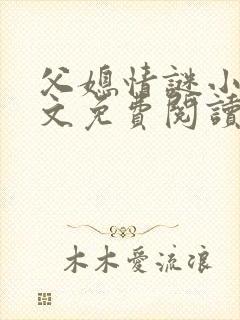 父媳情谜小说全文免费阅读封面