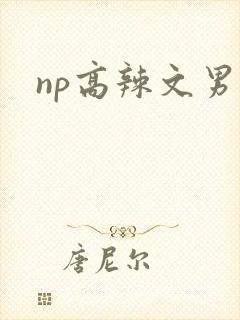 np高辣文男男封面