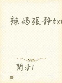 辣妈张静txt