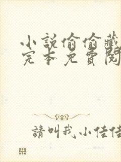 小说偷偷藏不住完本免费阅读封面