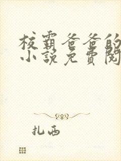 校霸爸爸的秘密小说免费阅读
