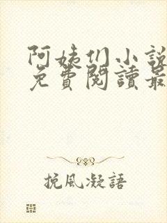 阿姨们小说全文免费阅读最新章节封面