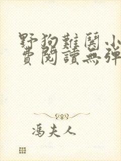 野狗难哄小说免费阅读无弹窗全文