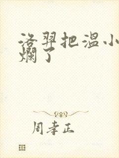 洛羿把温小辉做烂了封面