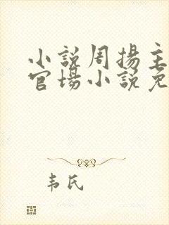小说周扬主角的官场小说免费阅读