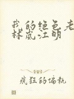我的绝色老板娘林岚江明