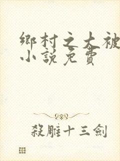 乡村之大被同眠小说免费