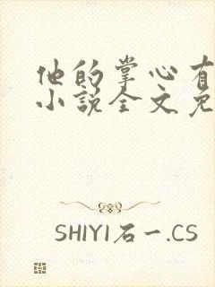 他的掌心有清风小说全文免费阅读在封面