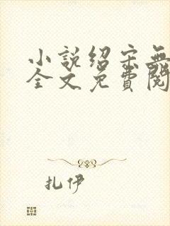 小说绍宋无弹窗全文免费阅读