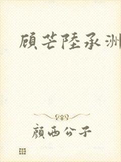 顾芒陆承洲