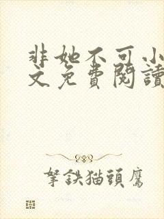 非她不可小说全文免费阅读封面
