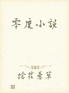 零度小说
