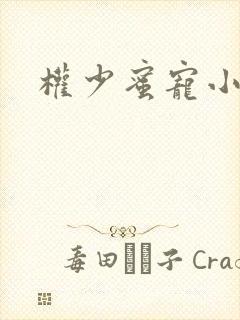 权少蜜宠小娇妻