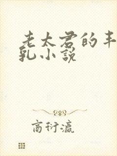 老太君的丰满大乳小说