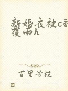 新婚夜被c翻云覆雨h