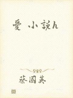 爱 小说h
