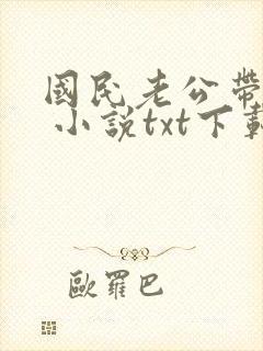 国民老公带回家 小说txt下载封面