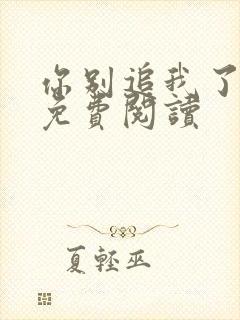 你别追我了小说免费阅读