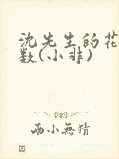 沈先生的花式调数(小非)