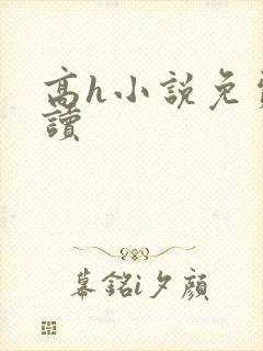高h小说免费阅读封面