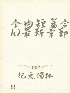 全肉短篇合集(h)最新章节列表