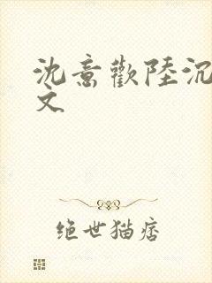 沈意欢陆沉舟全文封面