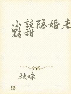 小说隐婚老公有点甜