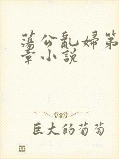 荡公乱妇第51章小说