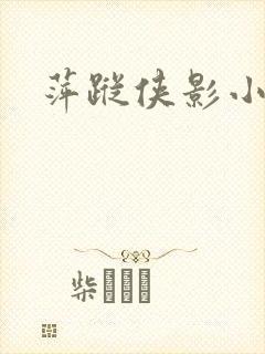 萍踪侠影小说封面