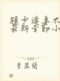 顾少追妻不要脸最新章节小说免费阅读