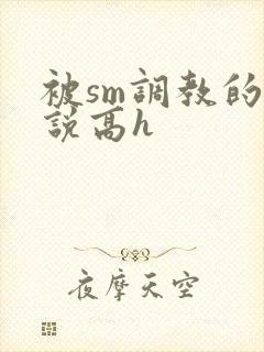 被sm调教的小说高h