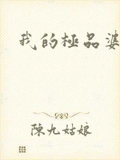 我的极品婆婆