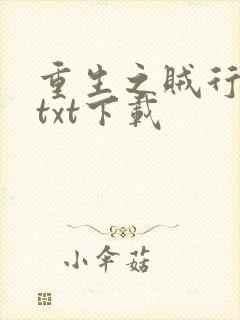 重生之贼行天下txt下载