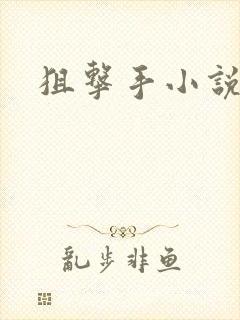 狙击手小说