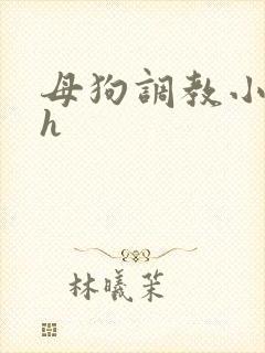 母狗调教小说高h
