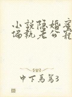 小说隐婚蜜爱:偏执老公宠上瘾在线观看