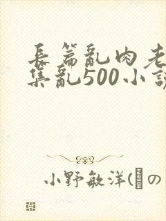 长篇乱肉老师合集乱500小说封面