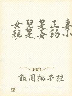 女儿是正妻,母亲是妾的小说推荐