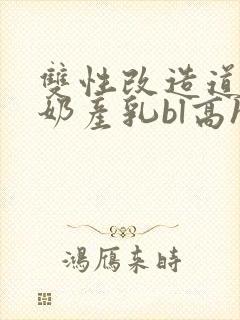 双性改造道具大奶产乳bl高h小说