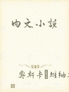 肉文小说