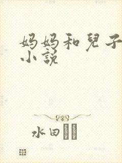妈妈和儿子伦乱小说