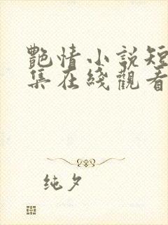艳情小说短篇合集在线观看