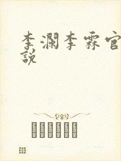 李澜李霖官场小说
