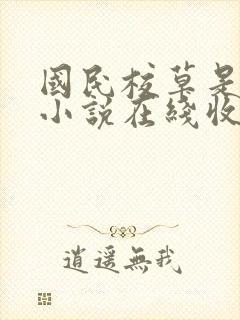 国民校草是女生小说在线收听