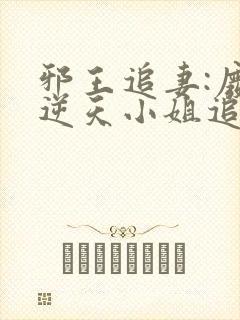 邪王追妻:废材逆天小姐追书