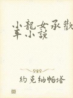 小龙女承欢尹志平小说封面