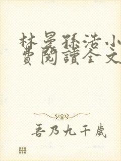 林曼孙浩小说免费阅读全文最新章节