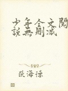 少年全文阅读小说无删减