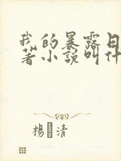 我的暴露日记原著小说叫什么封面