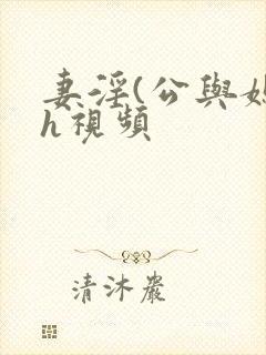 妻淫(公与媳7h视频
